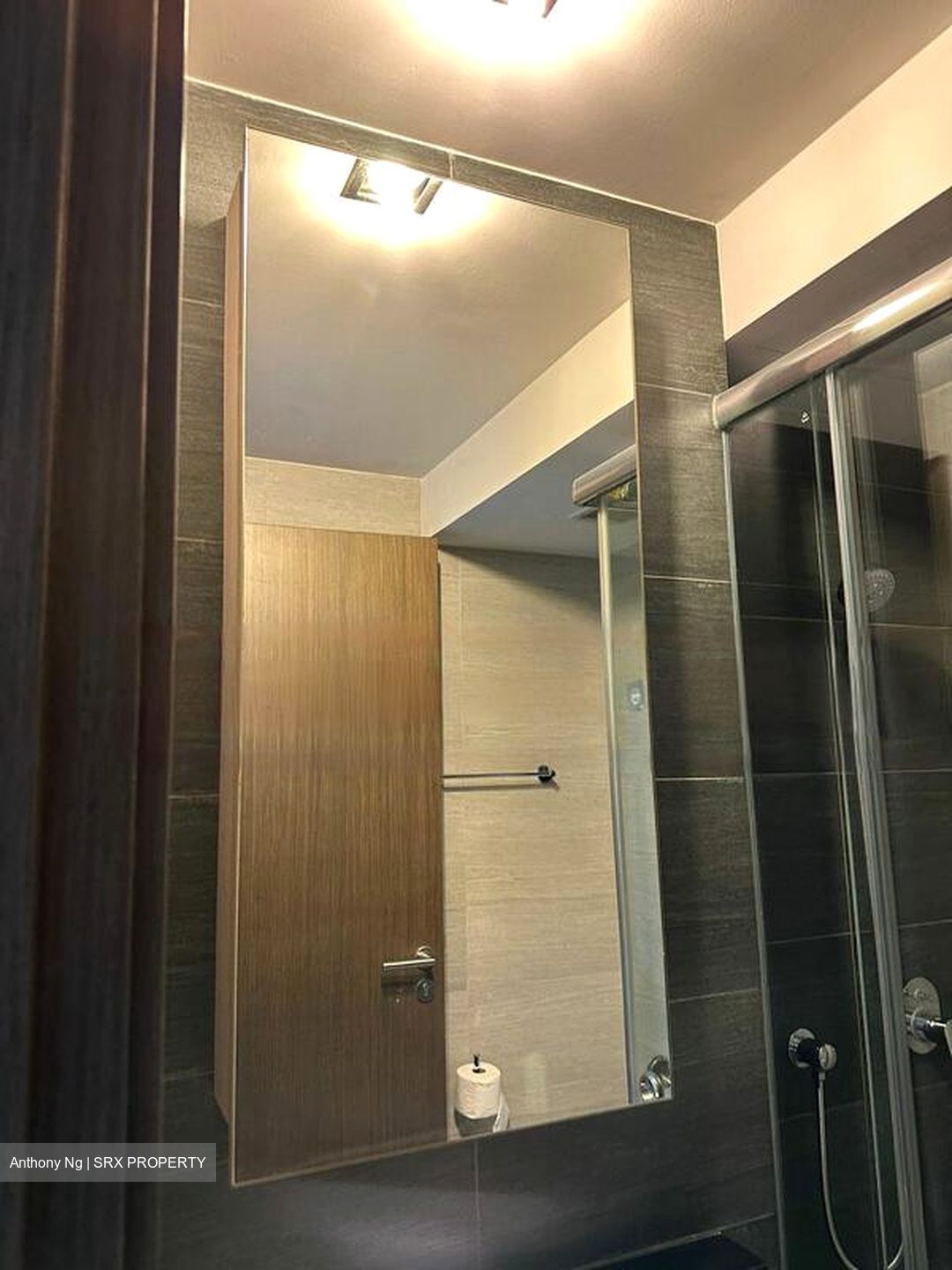 Liv On Wilkie (D9), Apartment #464994881